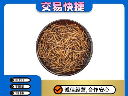 遂宁市安居礼品回收虫草.jpg